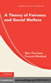 Theory of Fairness and Social Welfare