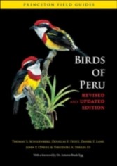 Birds of Peru