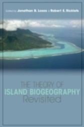 Theory of Island Biogeography Revisited