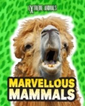 Marvellous Mammals