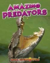 Amazing Predators