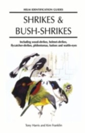 Shrikes and Bush-shrikes