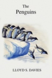 Penguins