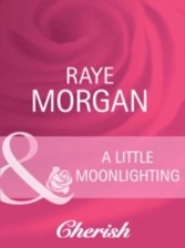 Little Moonlighting (Mills & Boon Cherish)