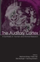 Auditory Cortex