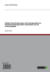 Globale Herausforderungen und Lösungsansätze zur Schaffung bedarfsgerechter Infrastruktur für die Verkehrslogistik