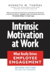 Intrinsic Motivation at Work