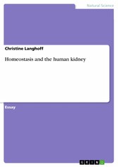 Homeostasis and the human kidney