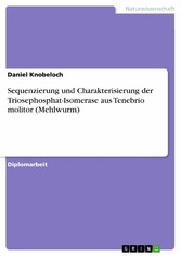 Sequenzierung und Charakterisierung der Triosephosphat-Isomerase aus Tenebrio molitor (Mehlwurm)