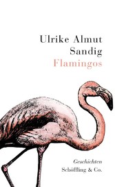 Flamingos