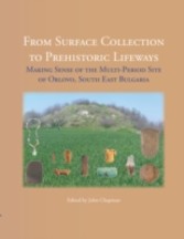 From Surface Collection to Prehistoric Lifeways