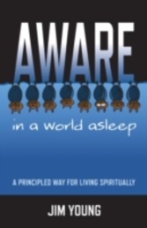 Aware In A World Asleep: A Principled Wa