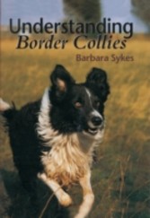 Understanding Border Collies