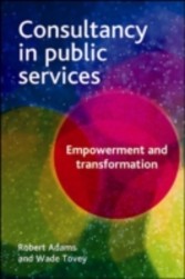 Consultancy in public services