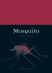 Mosquito