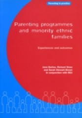 Parenting Programmes and Minority Ethnic Families