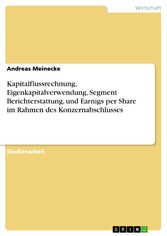 Kapitalflussrechnung, Eigenkapitalverwendung, Segment Berichterstattung, und Earnigs per Share im Rahmen des Konzernabschlusses