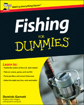 Fishing For Dummies