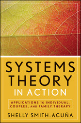 Systems Theory in Action