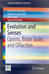 Evolution and Senses