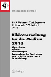 Bildverarbeitung für die Medizin 2013