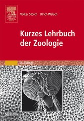 Kurzes Lehrbuch der Zoologie