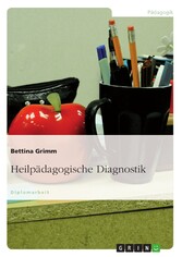 Heilpädagogische Diagnostik