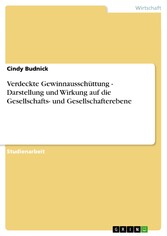 Verdeckte Gewinnausschüttung - Darstellung und Wirkung auf die Gesellschafts- und Gesellschafterebene