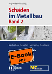 Schäden im Metallbau - Band 2 Hundert neue typische Fälle (E-Book)