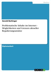 Problematische Inhalte im Internet - Möglichkeiten und Grenzen aktueller Regulierungsansätze