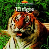 El tigre