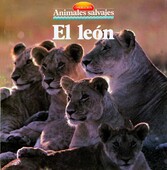 El león