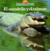 El cocodrilo y el caimán