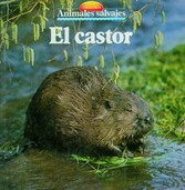 El castor