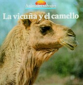 La vicuña y el camello