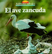 El ave zancuda