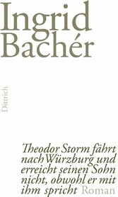 Theodor Storm fährt nach Würzburg und erreicht seinen Sohn nicht, obwohl er mit ihm spricht