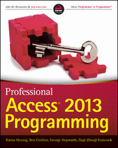 Professional Access 2013 Programming