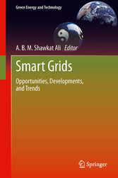 Smart Grids