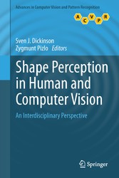 Shape Perception in Human and Computer Vision