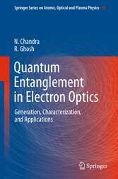 Quantum Entanglement in Electron Optics