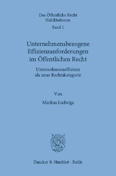 Unternehmensbezogene Effizienzanforderungen im Öffentlichen Recht.