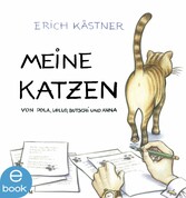 Meine Katzen