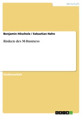 Risiken des M-Business