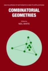 Combinatorial Geometries