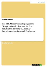 Das BLK-Modellversuchsprogramm 'Kooperation der Lernorte in der beruflichen Bildung (KOLIBRI)': Intentionen, Struktur und Ergebnisse