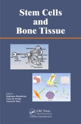 Stem Cells and Bone Tissue