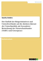 Der Einfluß der Bürgerinitiativen und Umweltverbände auf die direkten Akteure der Umweltpolitik, mit besonderer Betrachtung des Naturschutzbundes (NABU) und Greenpeace