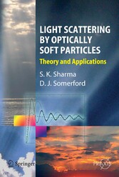 Light Scattering by Optically Soft Particles