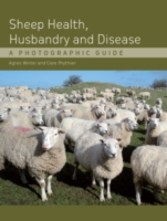 Sheep Health, Husbandry and Disease